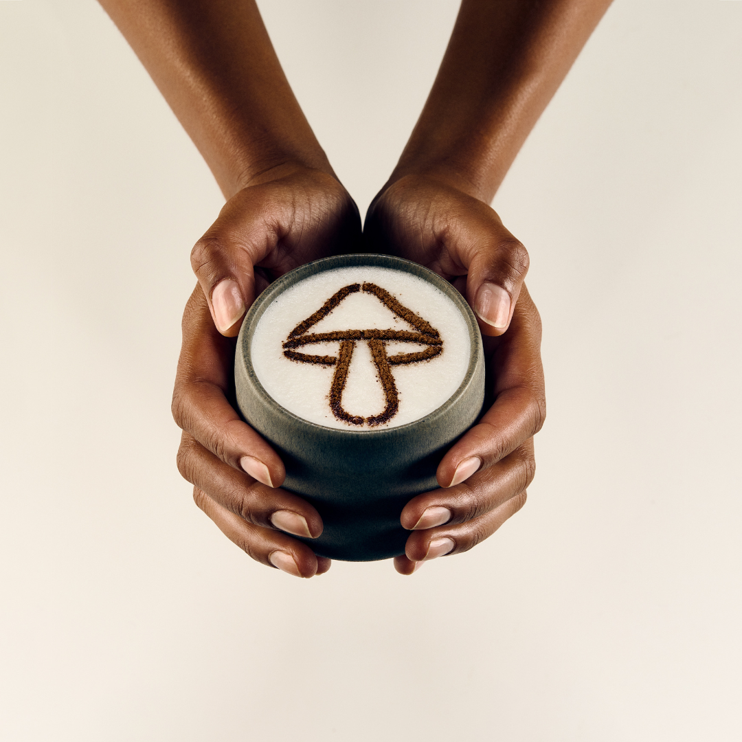 DIRTEA Reishi Latte Recipe: A Simple Evening Ritual for Better Sleep