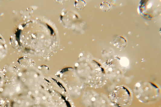 The Forgotten Organ: Your Immune System’s Daily Demands