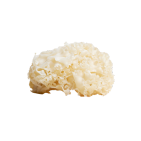 Tremella